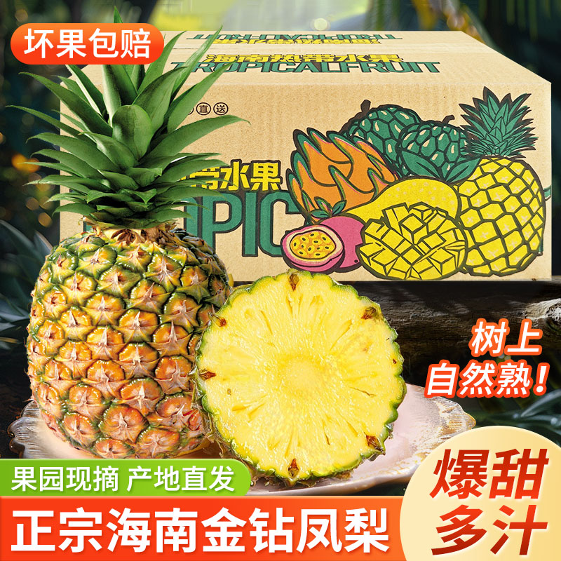 海南金钻凤梨应季新鲜无眼凤梨 凤梨