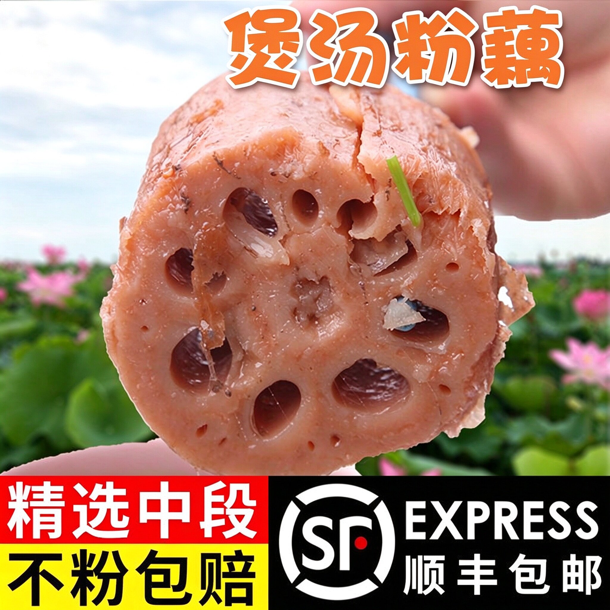 湖北粉藕煲汤莲藕新鲜现挖红藕炖汤粉藕洪湖粉藕