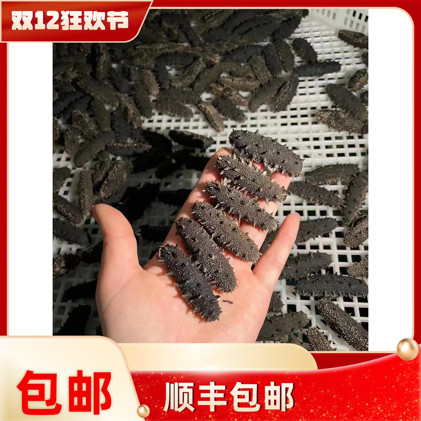 大连淡干18海参500g礼盒包邮