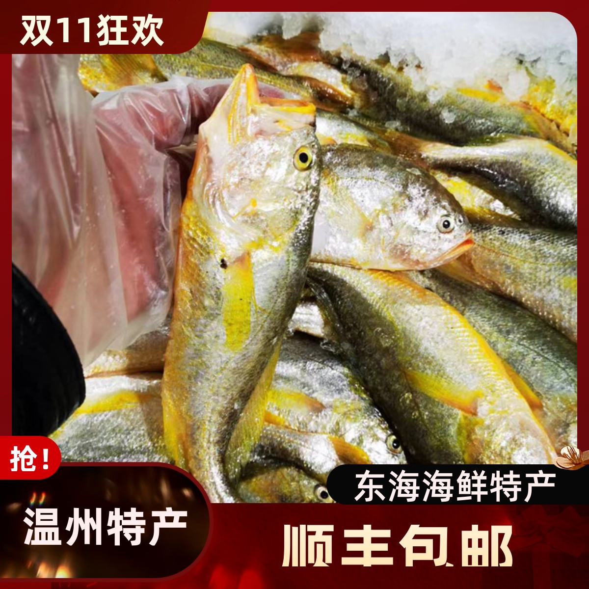 大头鱼当天捕捞舟山海鲜