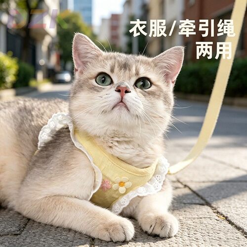 猫咪牵引绳防挣脱外出专用溜猫背心式背带小型犬小猫猫防丢遛猫绳