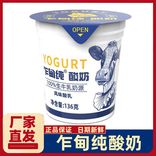 乍甸纯酸奶风味酸乳136克生牛乳奶源学生儿童上班族家庭早餐牛奶