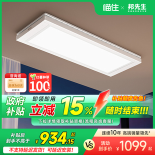 邦先生超薄隐形电动晾衣架小平板灯L11极简晾衣机 政府补贴