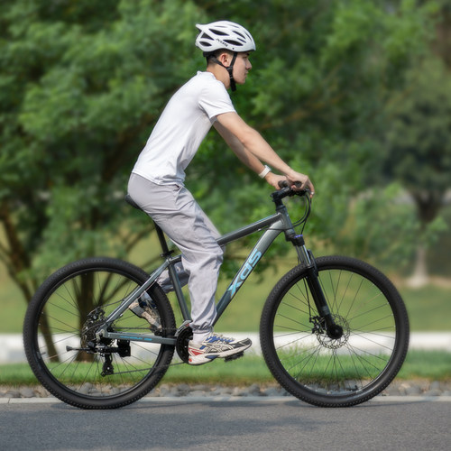 喜德盛禧玛诺24速入门运动单车