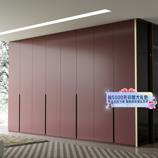 全屋定制衣柜鞋 Boloni 博洛尼 柜轻定制49800套餐 国补套餐