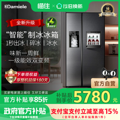 【政府补贴15%】达米尼自动制冰冰箱572L一级能效家用双开门嵌入