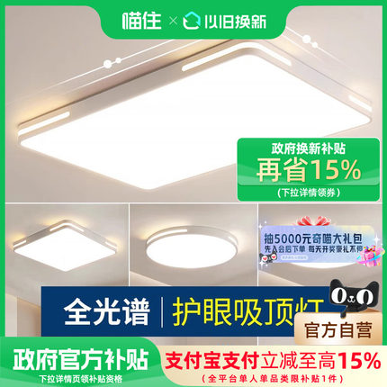 爱德朗客厅灯现代简约大气主灯全光谱卧室led吸顶灯