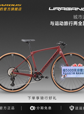 PARDUS瑞豹飓风URAGANO F碳纤维12速平把瓜车砾石公路Gravel