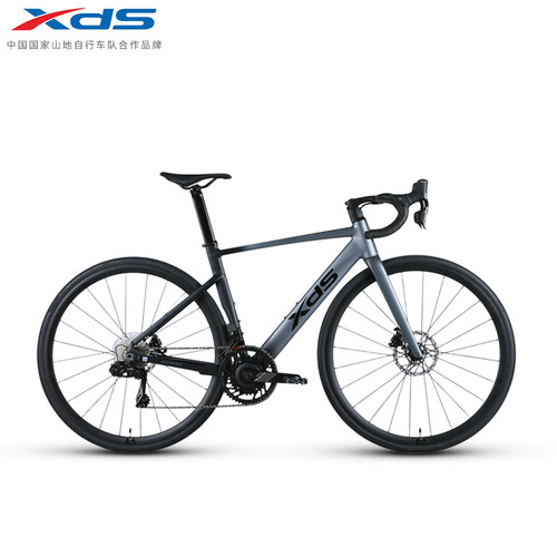 喜德盛25款AD500功率计电变单车