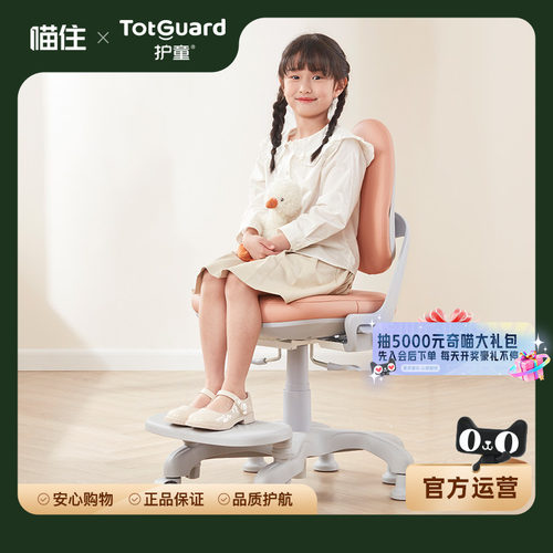 【TotGuard】护童儿童学习椅小学生可升降家用写字椅子