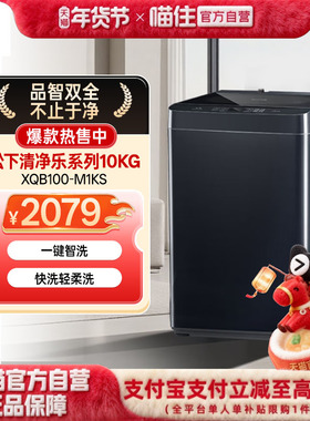 松下清净乐10KG波轮洗衣机 阻尼开合羊毛洗 防缠绕XQB100-M1KS