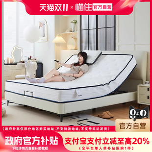 政府补贴菲玛仕智能床架电动床主卧婚床现代简约轻奢双人床1.8米