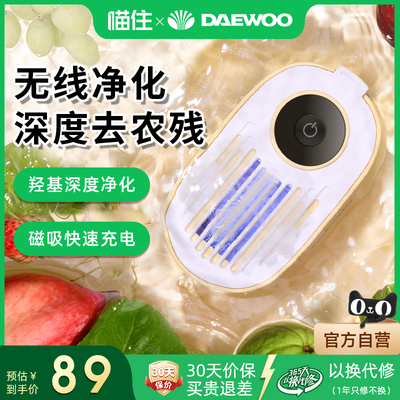 DAEWOO/大宇无线果蔬清洗机去除农残自动洗菜机食材杀菌净化器QX8
