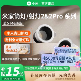 嵌入式 蓝牙mesh版 家用客厅吊顶B411 小米米家筒射灯2Pro 补贴15%