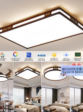 【国补15%】绿源客厅主灯2025新款实木新中式灯具套餐吸顶灯18