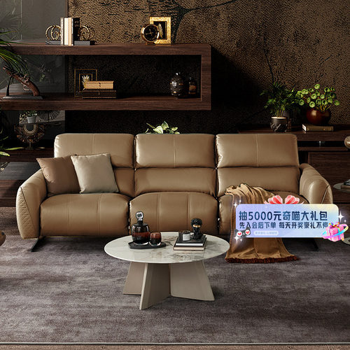 【国家补贴】LAZBOY乐至宝全皮沙发高端零靠墙中古风真高脚669
