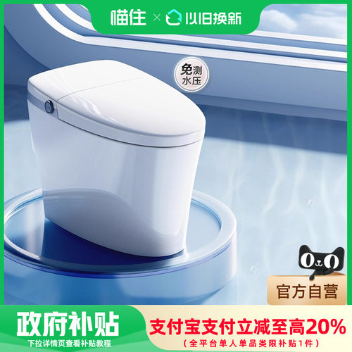 箭牌卫浴110马桶泡沫盾内置水箱离座冲水智能坐便器AKE1183