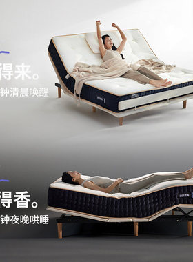 菠萝斑马0号pro智能床套装tm
