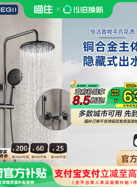 【政府补贴15%】恒洁花洒沐浴器置物淋浴花洒套装卫生间家用949