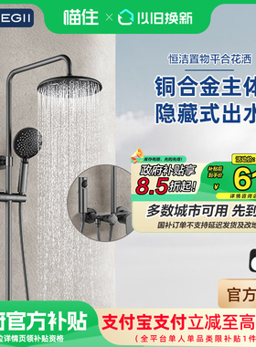 【政府补贴15%】恒洁花洒沐浴器置物淋浴花洒套装卫生间家用949
