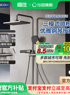 恒洁卫浴钢琴键置物家用淋浴花洒套装增压肩喷腰喷956-334