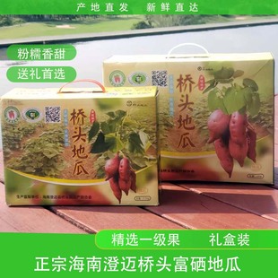 海南澄迈桥头地瓜沙地番薯新鲜红薯板栗薯黄心10斤礼盒装