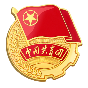团徽共青团胸针团徽磁吸正版标准型2023新款团员徽章别针蝴蝶扣团辉团微中国青年团正版入团支部收纳盒子批发