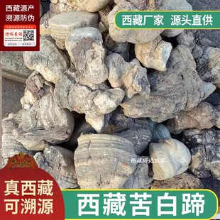西藏野生苦白蹄高海拔深山采摘阿里红药用拟层孔菌灵芝白灵芝真菌