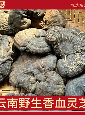 野生香血灵芝血灵芝500g玄芝黑灵芝皱盖假芝乌芝云南非长白山切片