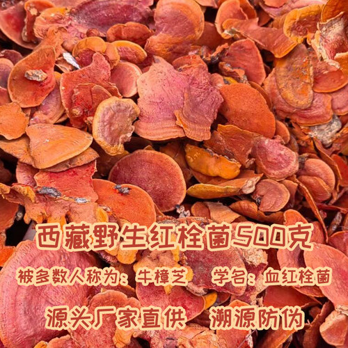 西藏野生红栓菌灵芝朱砂菌红云芝血红栓菌牛樟芝500克新鲜干货