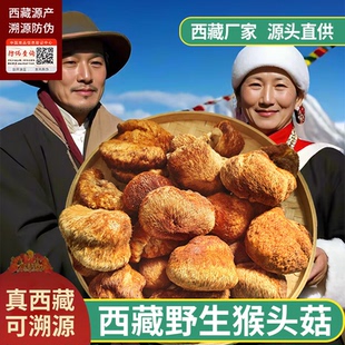 西藏波密野生猴头菇新鲜干货煲汤非东北长白山猴头菇八珍粉原料