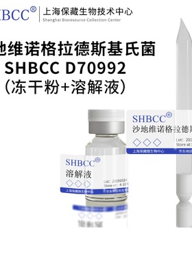 沙地维诺格拉德斯基氏菌JCM 15527模式菌株海水2216琼脂25℃培养