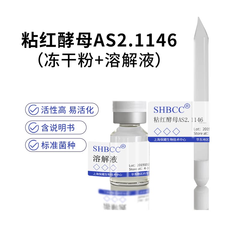粘红酵母冻干粉产生人造肉酵母as2.1146ym培养基28度扩繁二代菌种