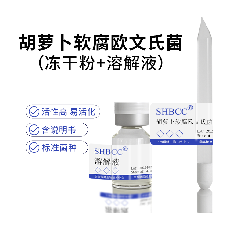 胡萝卜软腐欧文氏菌冻干粉结晶紫果胶酸盐CVP培养基28度活化菌种