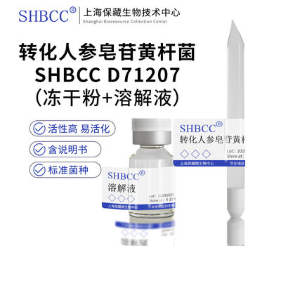 SHBCC转化人参皂苷黄杆菌冻干粉