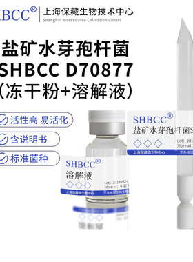 盐矿水芽孢杆菌JCM 19761模式菌株海水2216琼脂28℃培养冷藏冻干