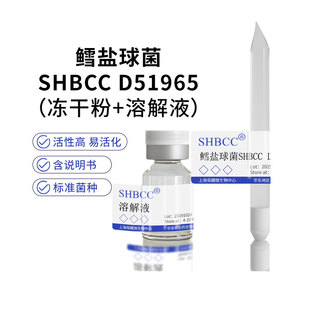 10℃冻干物现货生 菌株CM琼脂37℃培养冷藏4 1307模式 鳕盐球菌DSM