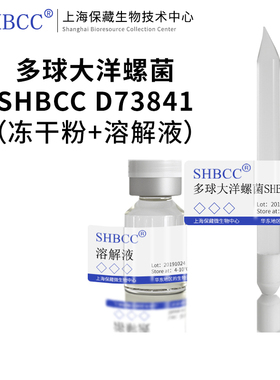 多球大洋螺菌ATCC 33336模式菌株海水2216琼脂30℃培养冻干物