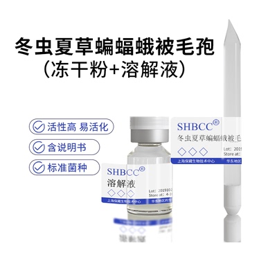 冬虫夏草蝙蝠蛾被毛孢中华被毛孢