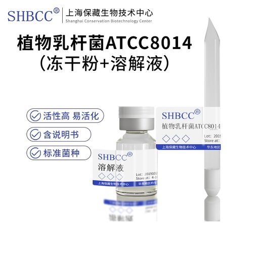 植物乳杆菌ATCC8014发酵乳酸