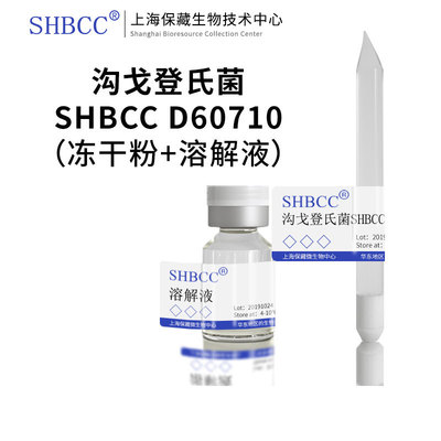 沟戈登氏菌葡萄糖天门冬素琼脂