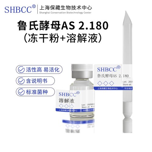 鲁氏酵母AS2.180冻干粉菌剂