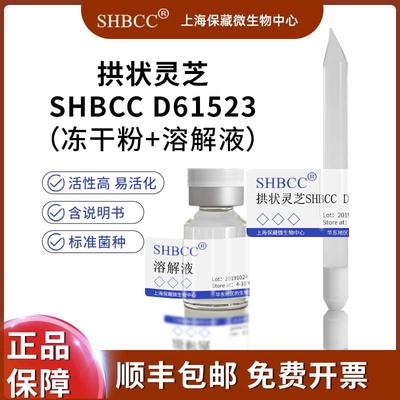 SHBCC拱状灵芝冻干粉现货