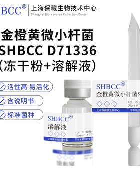 金橙黄微小杆菌SHBCC D71336非模式菌株营养肉汁琼脂30℃培养冷藏