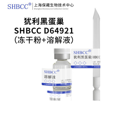 犹利黑蛋巢PDA培养基斜面培养物