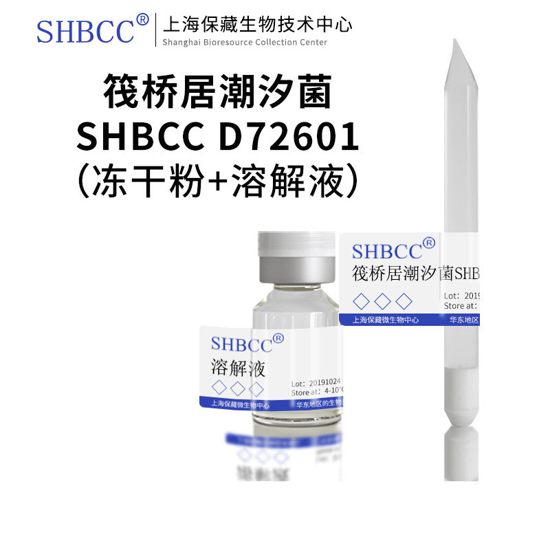 shmcc筏桥居潮汐菌海水2216琼脂