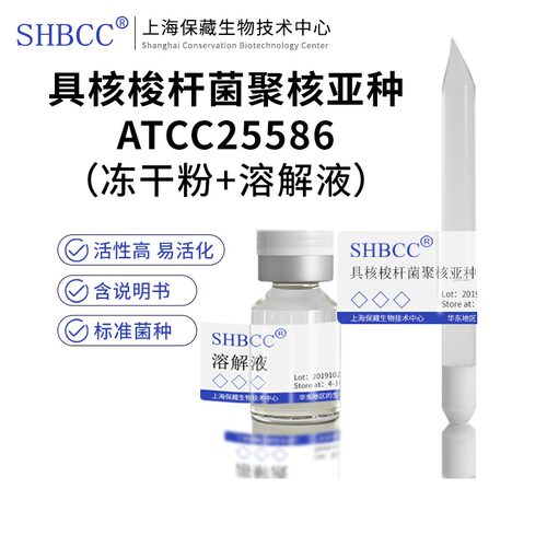 具核梭杆菌聚核亚种ATCC25586
