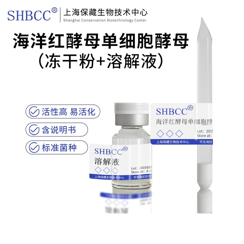 海洋红酵母单细胞酵母品系冻干粉shbcc d25171麦芽汁琼脂28度扩繁