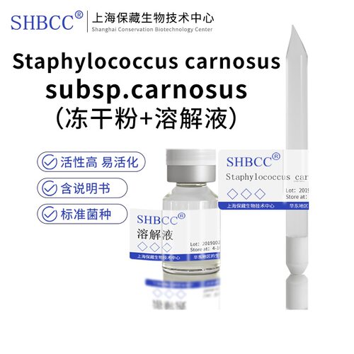 SHBCC冻干粉Staphylococcus