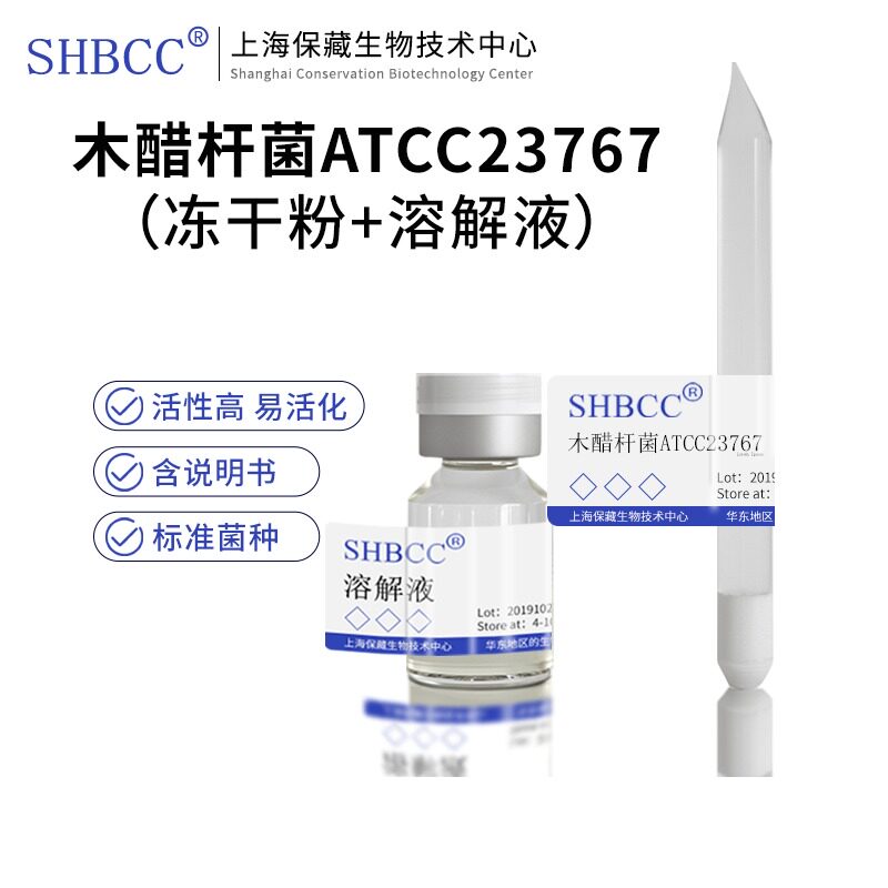 木醋杆菌ATCC23767冻干粉产纤维素膜醋酸液体培养基30度静置培养